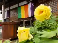 真言宗 善通寺派 薬王寺(香川県)