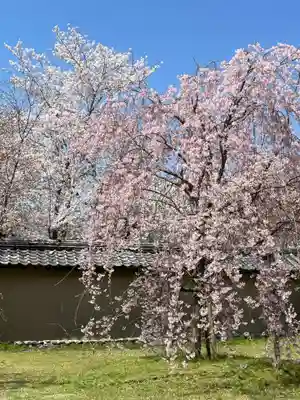 宝聚院(京都府)