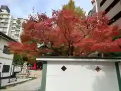 二宮神社の建物その他