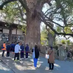 妙蓮寺(熊本県)