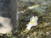 西方山極楽寺(岐阜県)