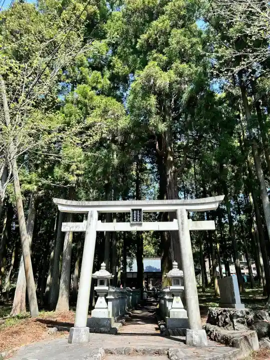 山宮浅間神社(静岡県)