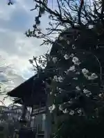 長福寺の{uncategorized: "未分類", other: "その他", undefined: "問題あり", building: "その他建物", grave: "お墓", sacred_gate: "鳥居", guardian: "狛犬", statue: "像", buddha: "仏像", history: "歴史", nature: "自然", garden: "庭園", animal: "動物", pagoda: "塔", temizu: "手水舎", mountain_gate: "山門・神門", sanctuary: "本殿・本堂", subordinate: "末社・摂社", art: "芸術", scenery: "景色", jizo: "地蔵", ema: "絵馬", goshuin: "御朱印", omikuji: "おみくじ", items: "授与品その他", amulet: "お守り", goshuincho: "御朱印帳", eats: "食事", festival: "お祭り", votive_dance: "神楽", shichigosan: "七五三参", wedding: "結婚式", experience: "体験その他", initially: "初詣", around: "周辺", anti_infection: "感染症対策"}