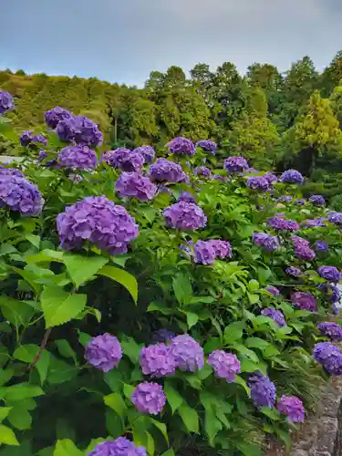 本光寺(愛知県)