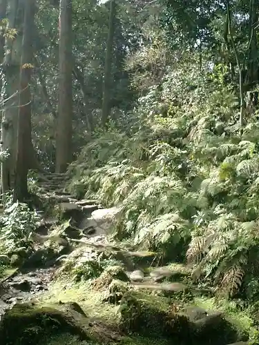 佐助稲荷神社の自然