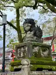 八坂神社(祇園さん)(京都府)