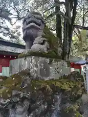 大國魂神社の狛犬