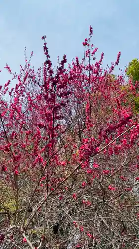 東沼神社の自然