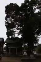 大神宮社(滋賀県)