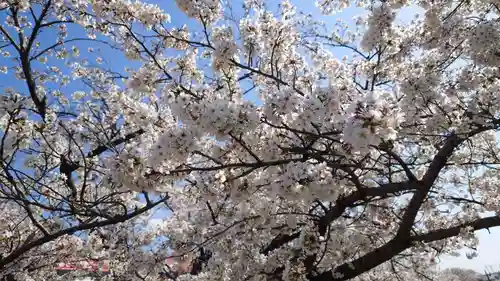 豊川進雄神社(愛知県)