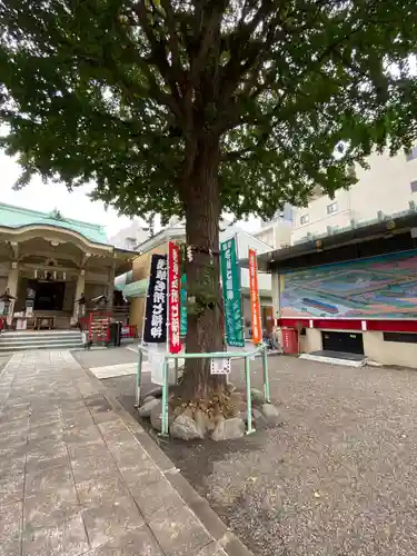 矢先稲荷神社の自然