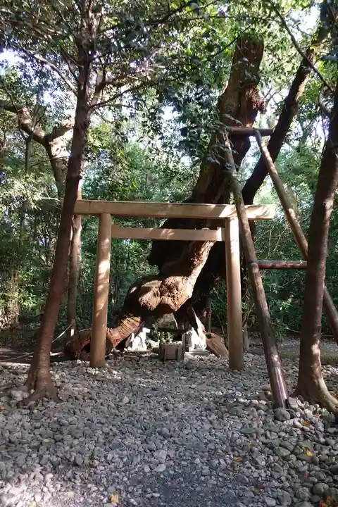 月夜見宮(豊受大神宮別宮)の鳥居