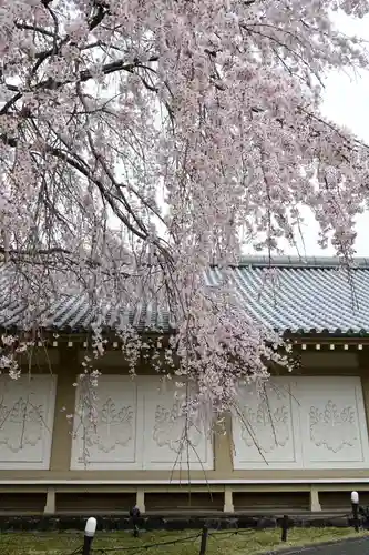醍醐寺(京都府)