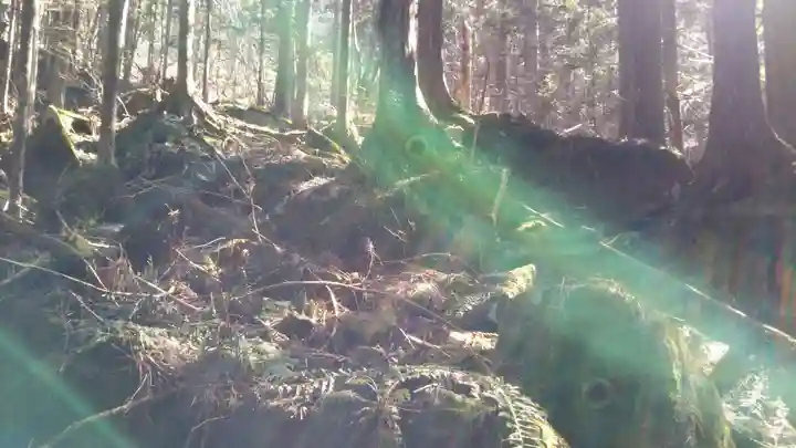 早池峯神社の自然