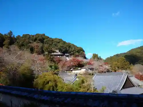 長谷寺の景色