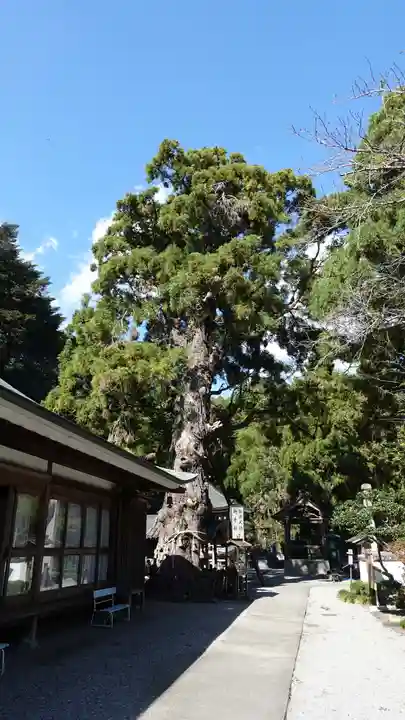 極楽寺(徳島県)