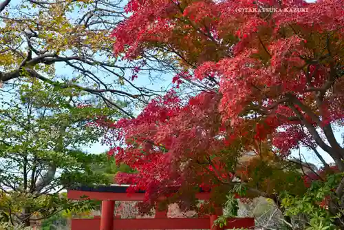 鶴岡八幡宮の自然