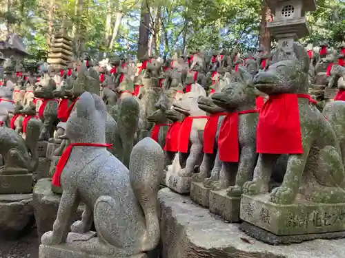 豊川閣　妙厳寺の狛犬