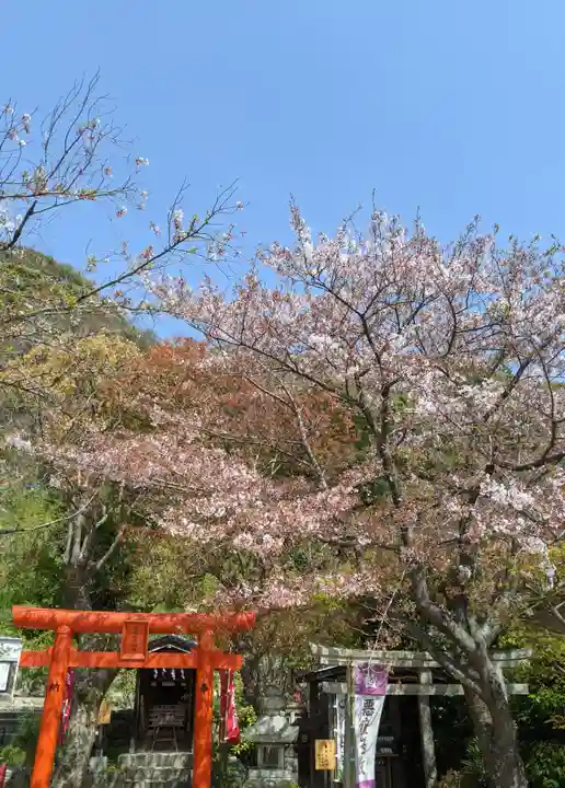 北野天満神社の自然