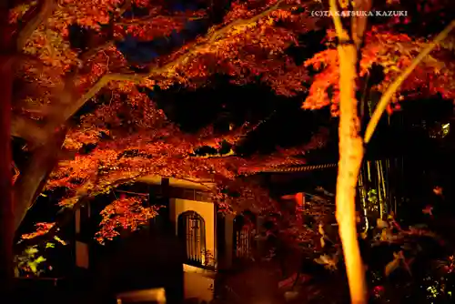 長谷寺(神奈川県)