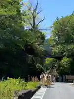 天河大辨財天社(奈良県)