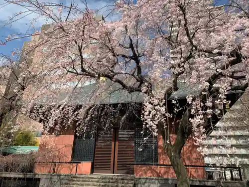 善性寺(東京都)