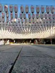 兵庫縣姫路護國神社(兵庫県)