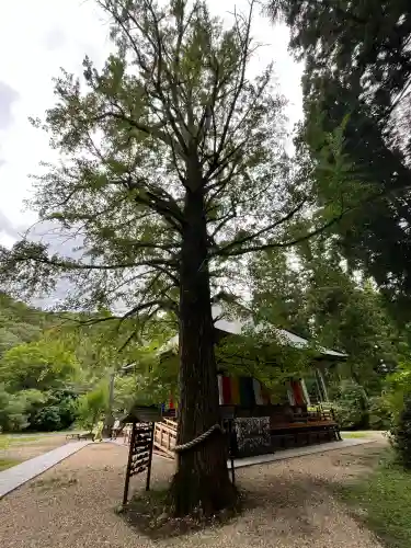 西光寺(宮城県)