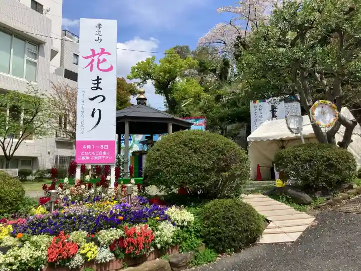 孝道山の{uncategorized: "未分類", other: "その他", undefined: "問題あり", building: "その他建物", grave: "お墓", sacred_gate: "鳥居", guardian: "狛犬", statue: "像", buddha: "仏像", history: "歴史", nature: "自然", garden: "庭園", animal: "動物", pagoda: "塔", temizu: "手水舎", mountain_gate: "山門・神門", sanctuary: "本殿・本堂", subordinate: "末社・摂社", art: "芸術", scenery: "景色", jizo: "地蔵", ema: "絵馬", goshuin: "御朱印", omikuji: "おみくじ", items: "授与品その他", amulet: "お守り", goshuincho: "御朱印帳", eats: "食事", festival: "お祭り", votive_dance: "神楽", shichigosan: "七五三参", wedding: "結婚式", experience: "体験その他", initially: "初詣", around: "周辺", anti_infection: "感染症対策"}