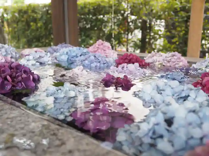 桜神宮(東京都)