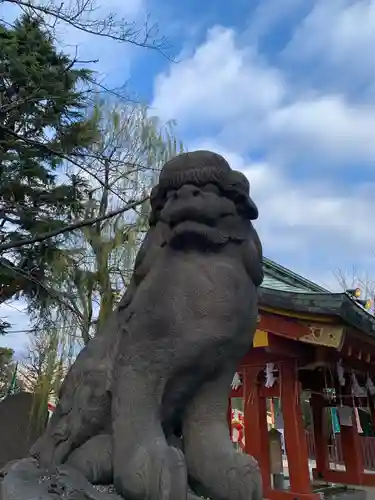 浅草神社の狛犬