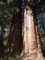 山宮神社(山梨県)