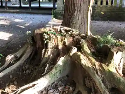 天目一神社(兵庫県)