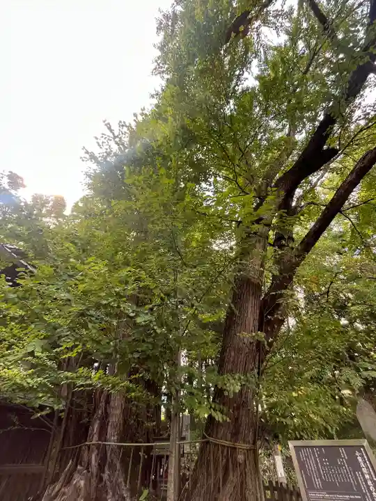 小室浅間神社(山梨県)