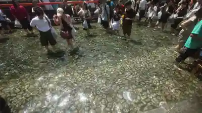 賀茂御祖神社（下鴨神社）のお祭り