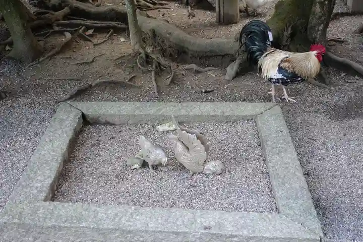 石上神宮の動物