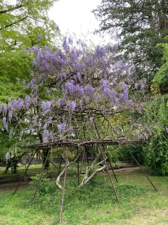 青葉神社の自然