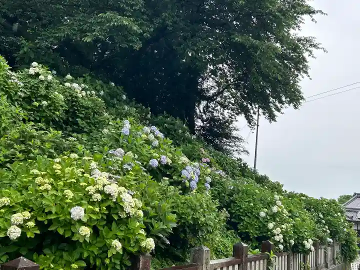粟井神社(香川県)