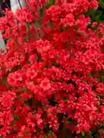 崇道天皇社(奈良県)