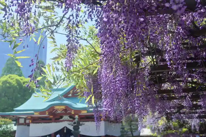 日枝神社の自然