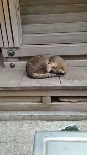 小野照崎神社(東京都)