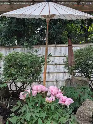 鶴岡八幡宮(神奈川県)