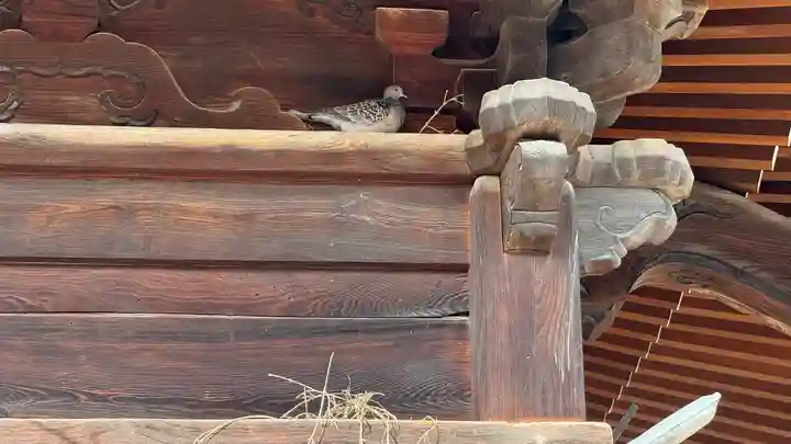 今宮坊(埼玉県)