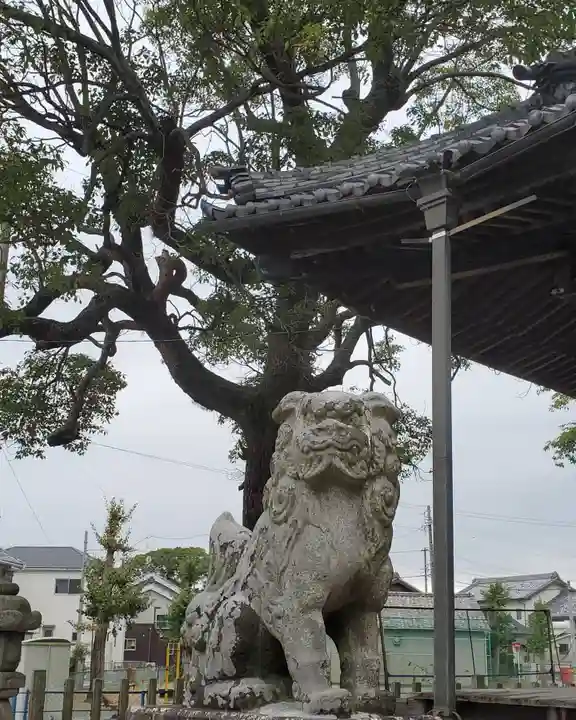 素盞嗚神社の狛犬