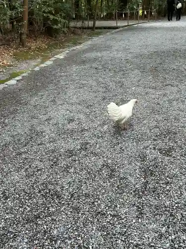 伊勢神宮外宮（豊受大神宮）(三重県)