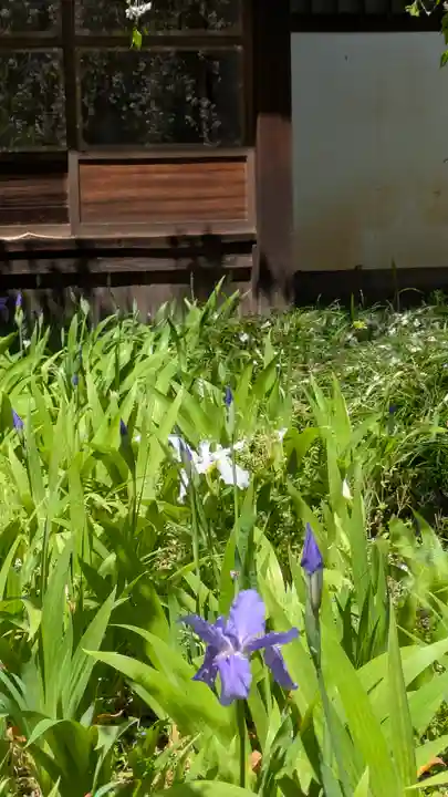 得浄明院(善光寺別院)(京都府)