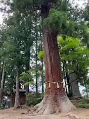 魚沼神社(新潟県)