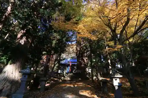 磐椅神社の庭園