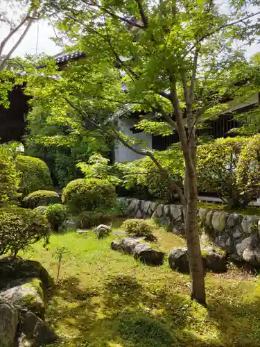 能仁寺の庭園