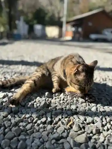 上岩出神社の{uncategorized: "未分類", other: "その他", undefined: "問題あり", building: "その他建物", grave: "お墓", sacred_gate: "鳥居", guardian: "狛犬", statue: "像", buddha: "仏像", history: "歴史", nature: "自然", garden: "庭園", animal: "動物", pagoda: "塔", temizu: "手水舎", mountain_gate: "山門・神門", sanctuary: "本殿・本堂", subordinate: "末社・摂社", art: "芸術", scenery: "景色", jizo: "地蔵", ema: "絵馬", goshuin: "御朱印", omikuji: "おみくじ", items: "授与品その他", amulet: "お守り", goshuincho: "御朱印帳", eats: "食事", festival: "お祭り", votive_dance: "神楽", shichigosan: "七五三参", wedding: "結婚式", experience: "体験その他", initially: "初詣", around: "周辺", anti_infection: "感染症対策"}